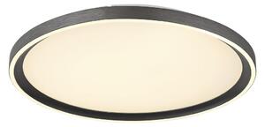 STROPNA LED-SVETILKA 230 V