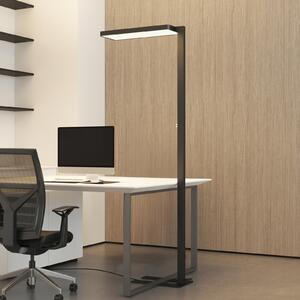 Arcchio LED talna svetilka Timon, 54 W, črna, višina 195 cm, zatemnjen, Črna, Študija / pisarna, Aluminij, Sodobni, Stoječe senčilo