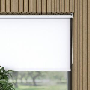 Expo Ambiente Rolo Mini (Š x V: 45 x 150 cm, Bele barve, Univerzalen, Prepustnost za dnevno svetlobo)