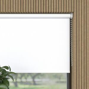 Expo Ambiente Zatemnitveni rolo (Š x V: 60 x 190 cm, Bele barve, Univerzalen)