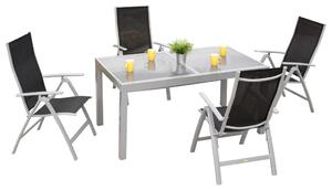 VRTNI SET aluminij srebrne barve črna, srebrne barve