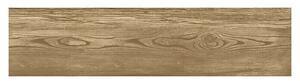 Keramična plošča Frassino (15 x 60 cm, Mat)