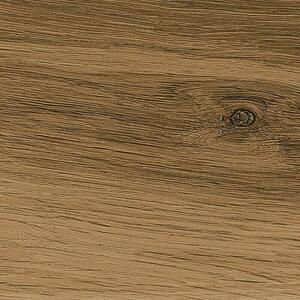 Cersanit Talne ploščice Ashville Brown (29,7 x 59,8 mm, Rjava)