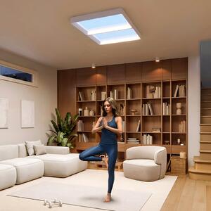 Philips LED-stropna svetilka SKYLIGHT, 65 x 45 cm, bela, CCT IP44, zatemnjen, Bela, Dnevna soba / jedilnica, Plastika, Sodobni