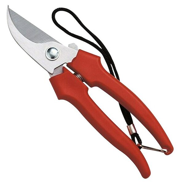 Vrtne škarje za obiranje grozdja (19 cm)