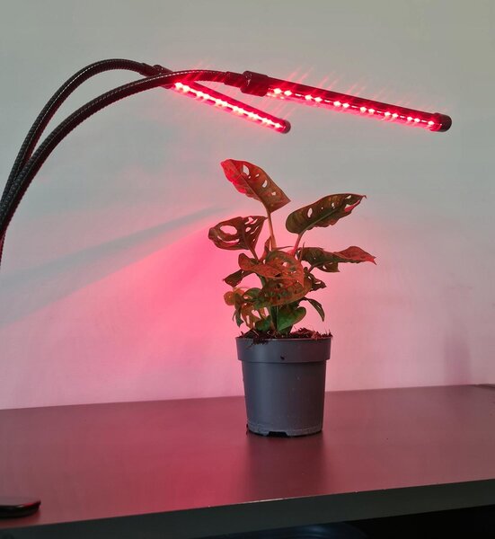 40 LED UV svetilki za rast rastlin 20W