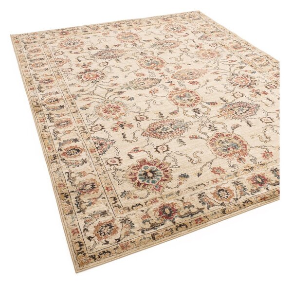 Bež preproga 120x160 cm Raja – Asiatic Carpets