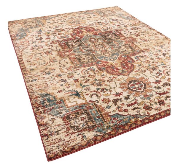 Preproga 120x160 cm Raja – Asiatic Carpets