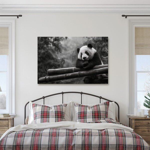Slika panda počiva na bambusu