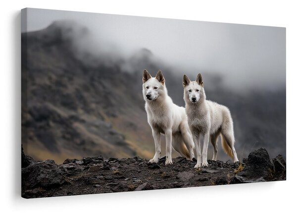 Slika volkovi v meglenih gorah