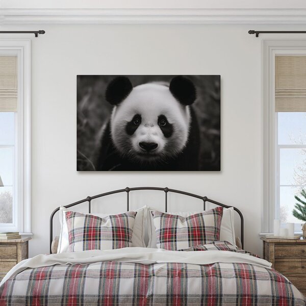 Slika prisrčna panda v naravi