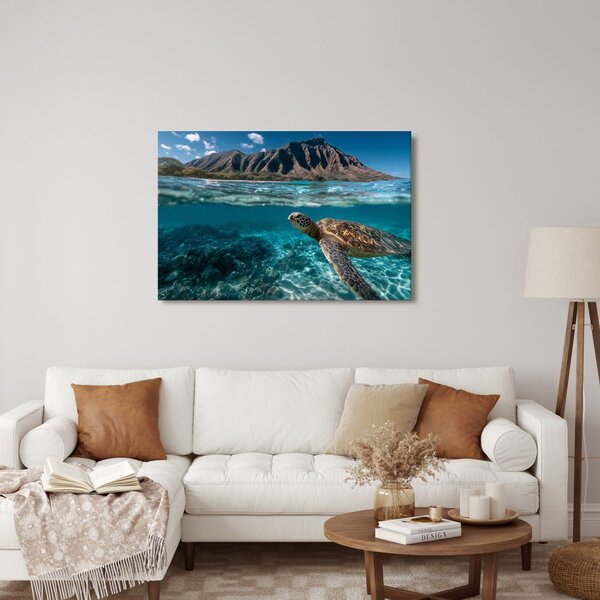 Slika morska želva v oceanu