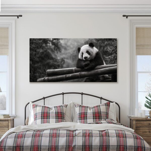 Slika mirna panda v naravi