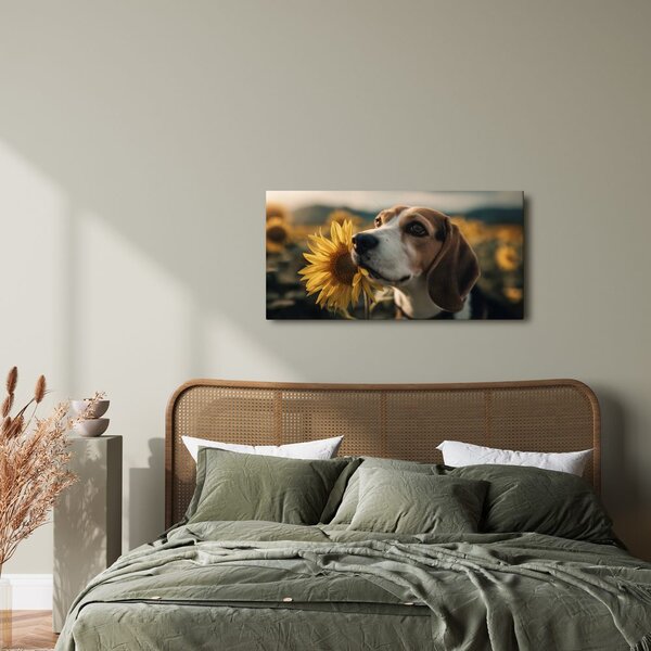 Slika beagle s sončnico