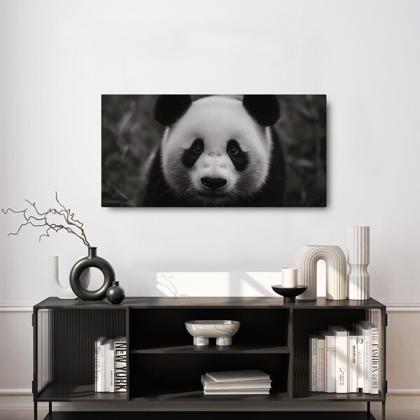 Slika črno-bela panda z nasmehom