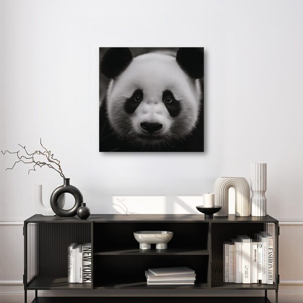 Slika panda na črnem ozadju