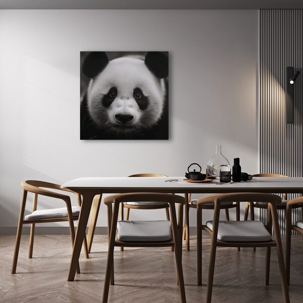 Slika panda na črnem ozadju