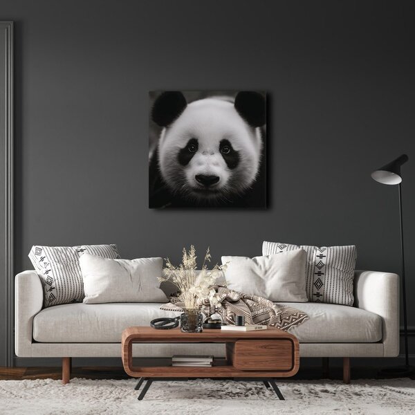 Slika panda na črnem ozadju