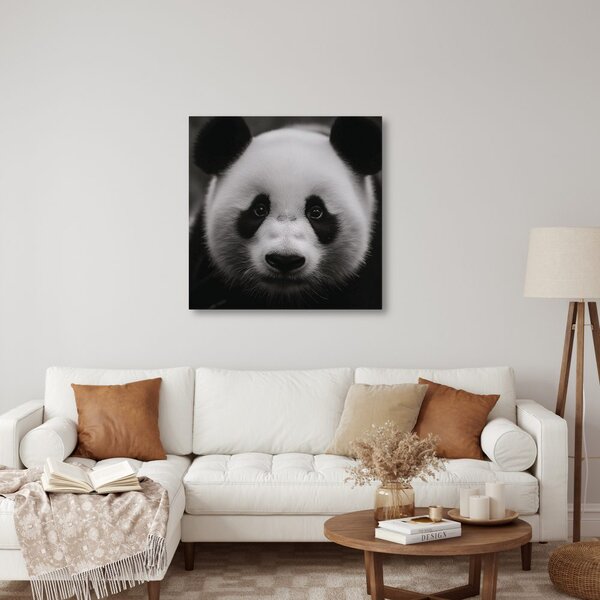 Slika panda na črnem ozadju