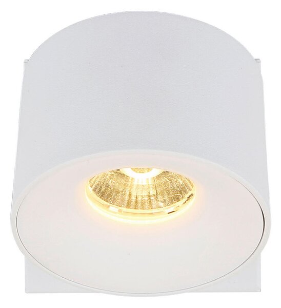 LED-REFLEKTOR RAE 3000 K