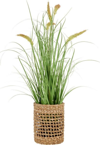 Modern Living Umetna Rastlina Pennisetum I