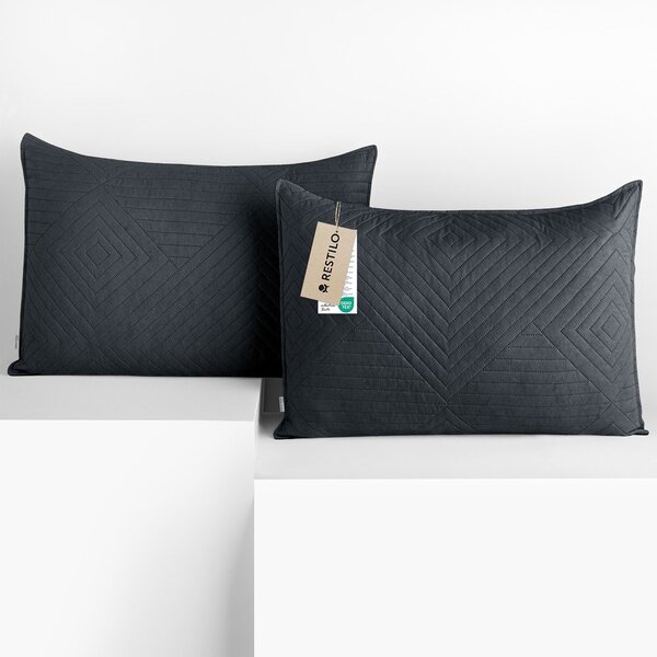 Prevleke za blazino v kompletu 2 ks iz mikrovlaken 50x70 cm Softa – Restilo