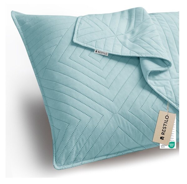 Prevleke za blazino v kompletu 2 ks iz mikrovlaken 45x45 cm Softa – Restilo