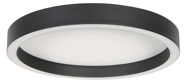 Steinhauer LED stropna svetilka Ringlux, črna, Ø 30 cm, kovina, 2700 K, zatemnjen, Črna, Dnevna soba / jedilnica, Kovina, Sodobni