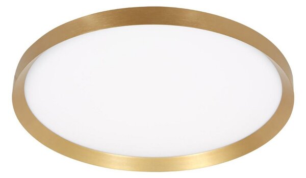 Steinhauer Stropna svetilka LED Flady, zlate barve, Ø 50 cm, neposredna/neposredna, zatemnjen, Zlata / medeninasta, Dnevna soba / jedilnica, Kovina