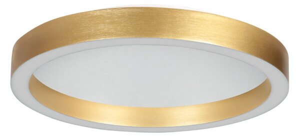 Steinhauer LED stropna svetilka Ringlux zlata barva, Ø 30 cm, kovina, 2700 K, zatemnjen, Zlata / medeninasta, Dnevna soba / jedilnica, Kovina, Sodobni