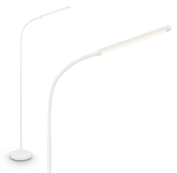 Briloner LED stoječa svetilka Mura, bela, višina 170 cm, kovina, dotik dimmer, zatemnjen, Bela, Dnevna soba / jedilnica, Plastika, Sodobni