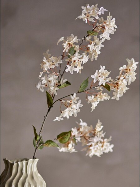 Umetna rastlina (višina 100 cm) Myrtle – Bloomingville