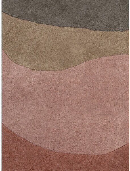 Volnena preproga 120x170 cm Chelsea – Ted Baker