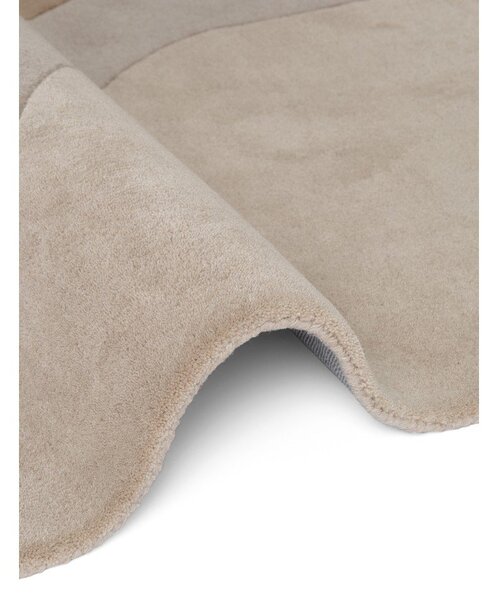 Volnena preproga 120x170 cm Chelsea – Ted Baker