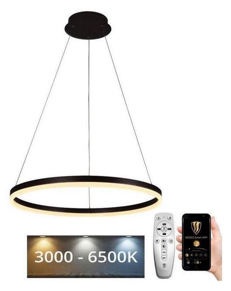 Brilagi - LED Zatemnitveni lestenec na vrvici CIRCLE LED/42W/230V 3000-6500K + Daljinski upravljalnik