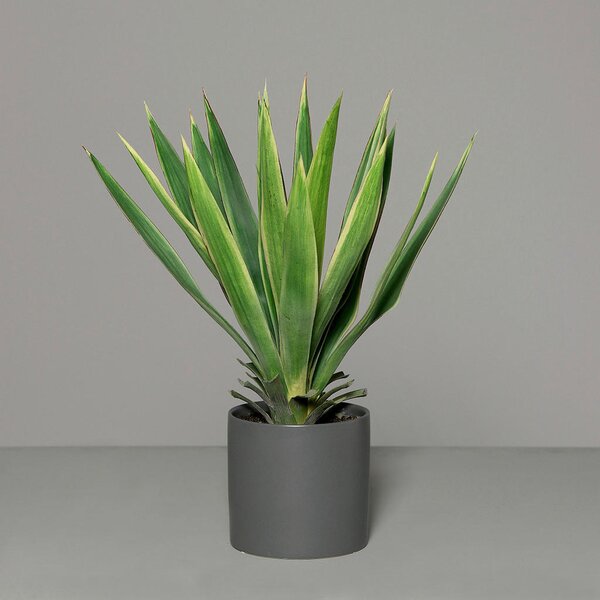 UMETNA RASTLINA 60 cm