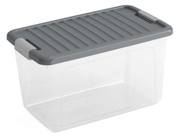 Plastična škatla za shranjevanje s pokrovom 49x30x28,5 cm W box M – KIS
