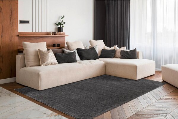 PREPROGA Nila 100 Anthrazit 120/170 cm tkano antracit