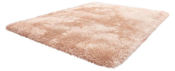 PREPROGA Z VISOKIM FLOROM Cosy 210 Champagner 120/170 cm taftano barve šampanjca