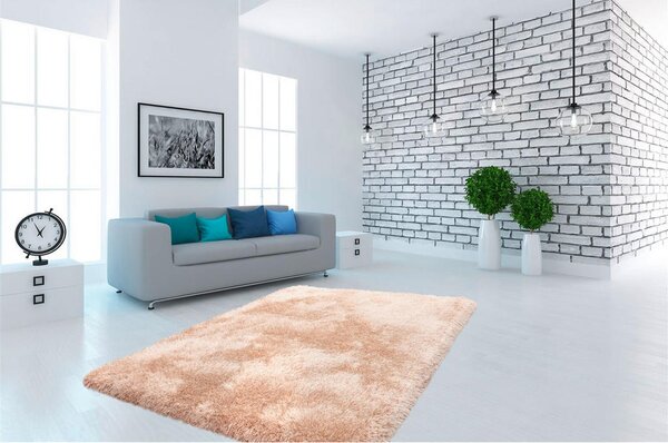 PREPROGA Z VISOKIM FLOROM Cosy 210 Champagner 120/170 cm taftano barve šampanjca