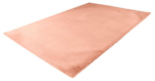 PREPROGA Z VISOKIM FLOROM Rabbit Light 525 Creme 120/170 cm taftano krem barve