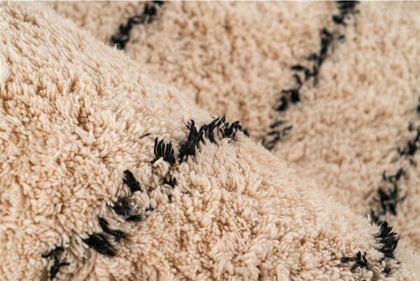 PREPROGA Mylen 625 Creme / Schwarz 120/170 cm krem barve, črna