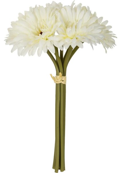 Mömax Okrasni Šopek Gerbera