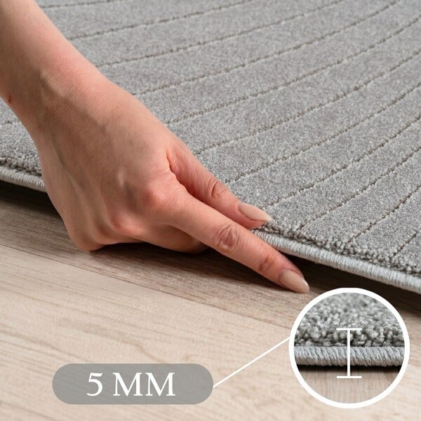 Notranja in zunanja preproga v srebrni barvi 120x170 cm Nova 1204 – Ayyildiz Carpets