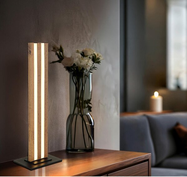 NAMIZNA LED-SVETILKA Hayden 18/12/50 cm