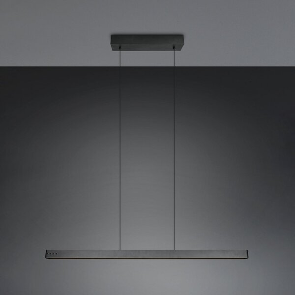 Trio Lighting LED viseča svetilka Donegal, črna, dolžina 150 cm, CCT, zatemnjen, Črna, Dnevna soba / jedilnica, Kovina, Sodobni