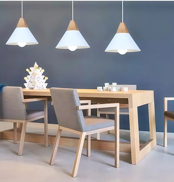Stropna svetilka SCANDI C Black