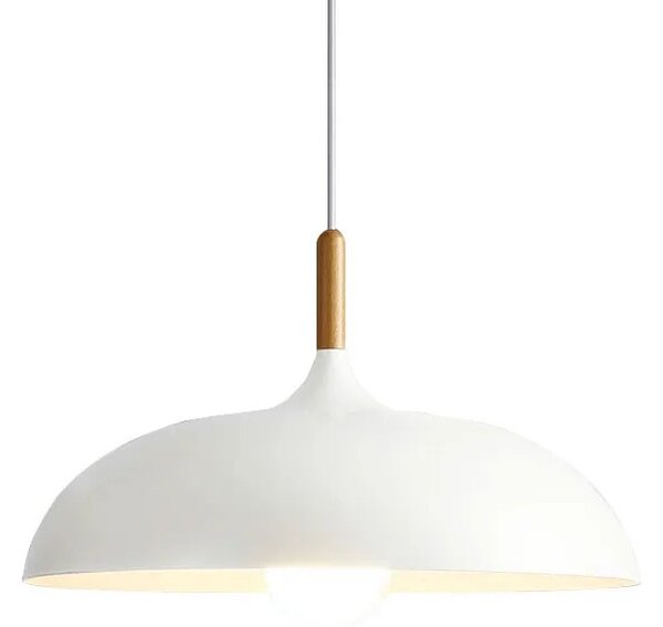 Stropna svetilka ANZO White