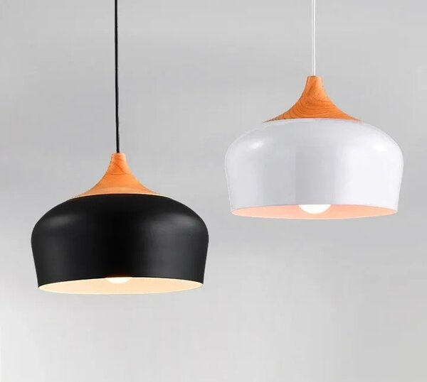 Stropna enojna viseča svetilka Bari Black