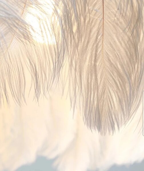 Stropna svetilka Feather boho APP662 Gold